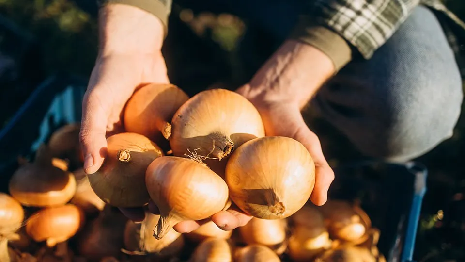 Фото: istockphoto.com