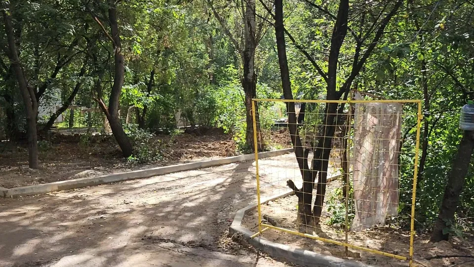 Фото: Иван Чижов