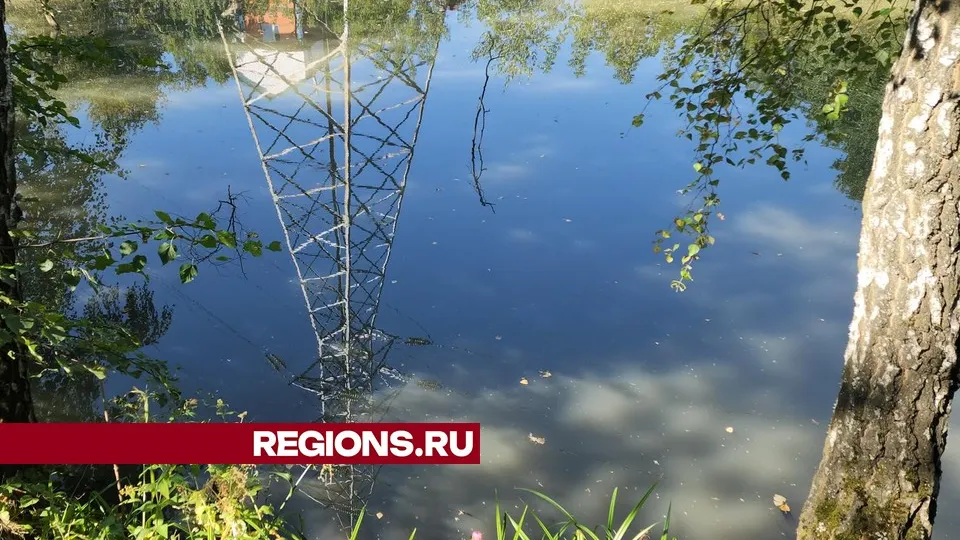 Фото: Никита Сморкалов