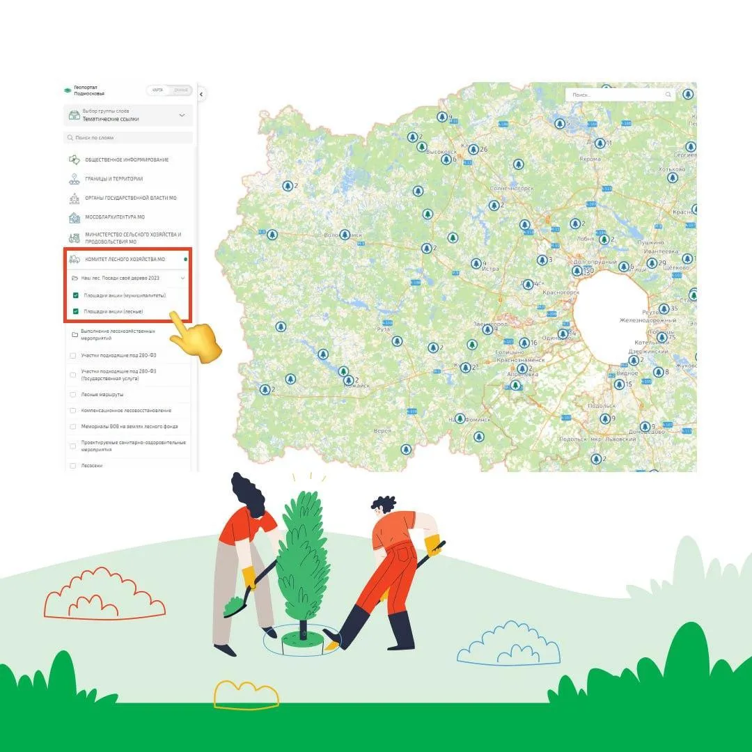 Комитет лесного хозяйства Московской области