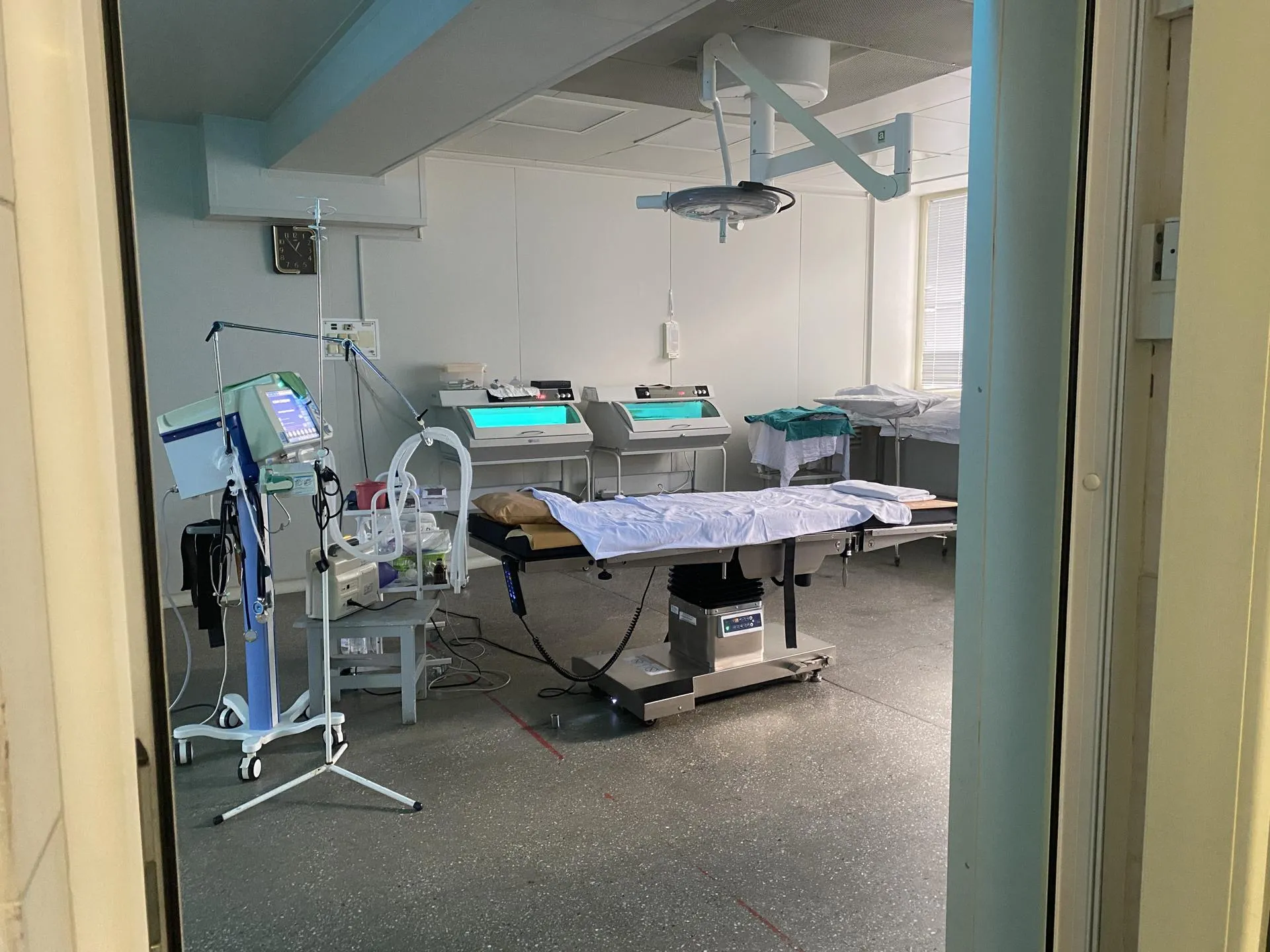 Анна Артюшина