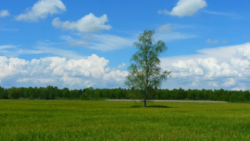 Фото: pxhere.com