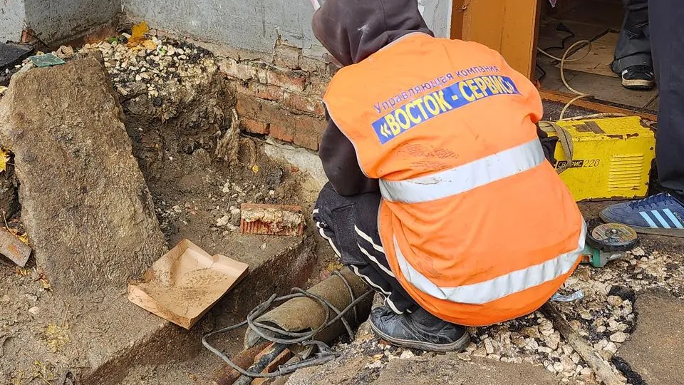 Фото: Ксения Пашуто