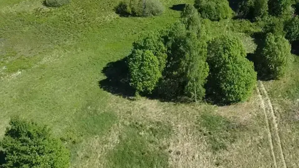 Фото: Единый портал торгов Московской области (ЕАСУЗ)