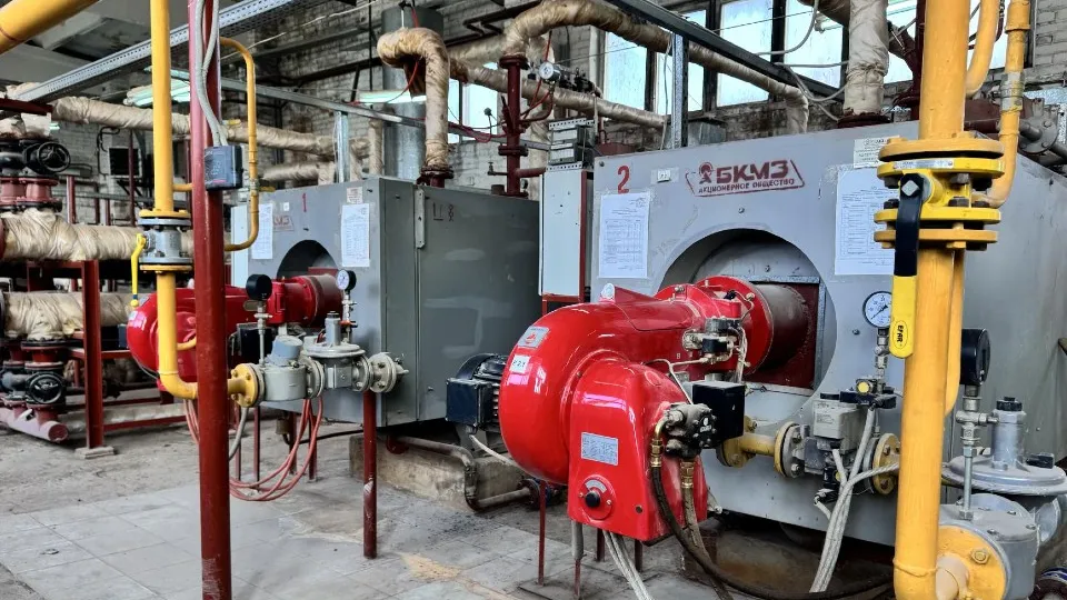 Фото: МедиаБанк Подмосковья/Татьяна Рунова