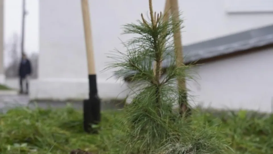 Фото: пресс-служба Администрации м.о. Егорьевск