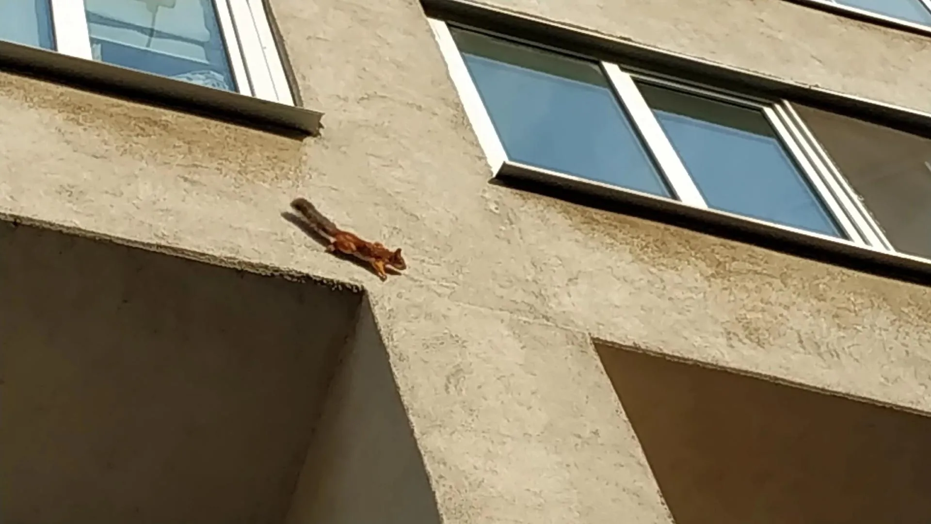 Фото: Истра / ВКонтакте