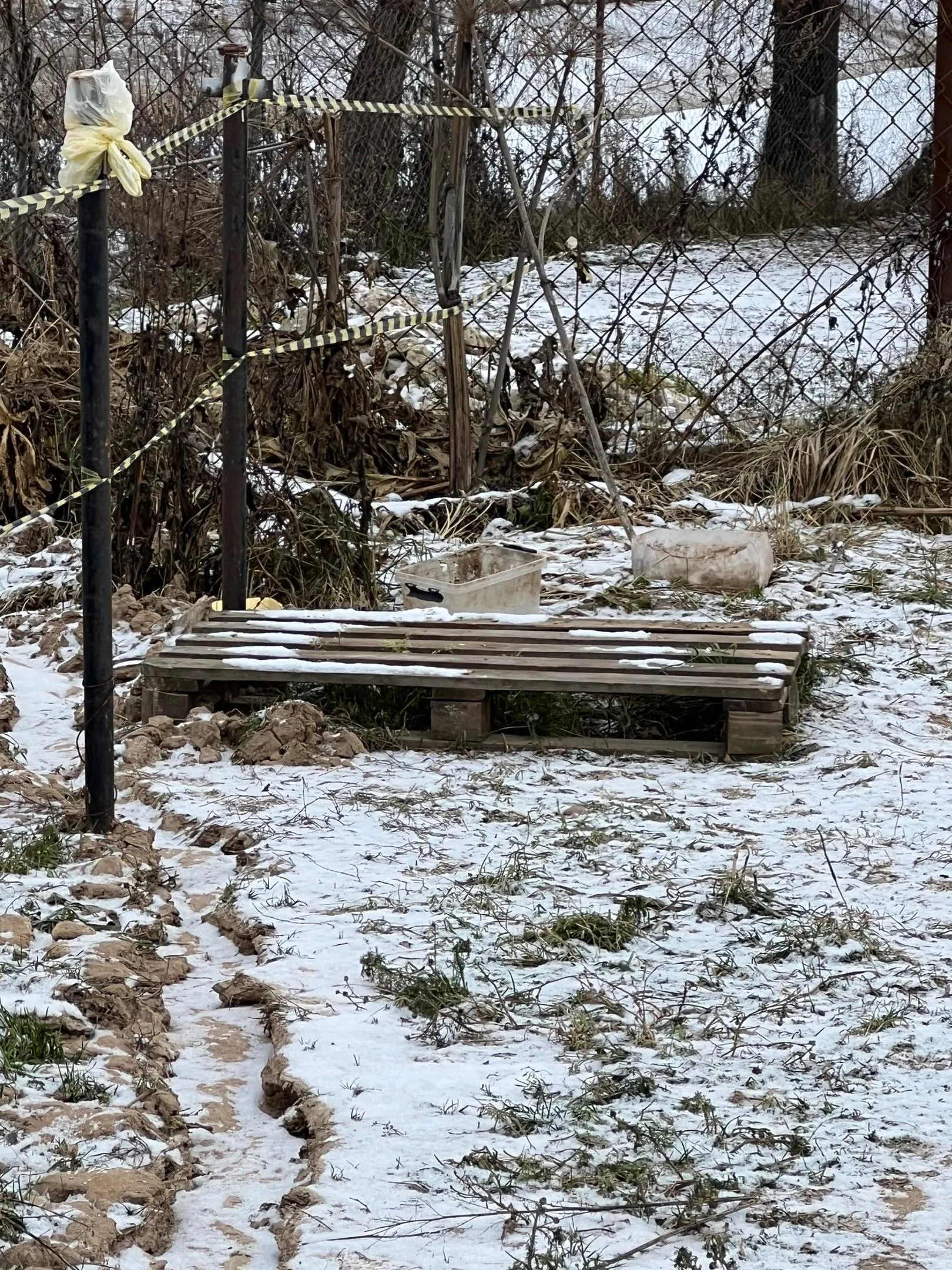 Фото: Подслушано Руза. / Вконтакте