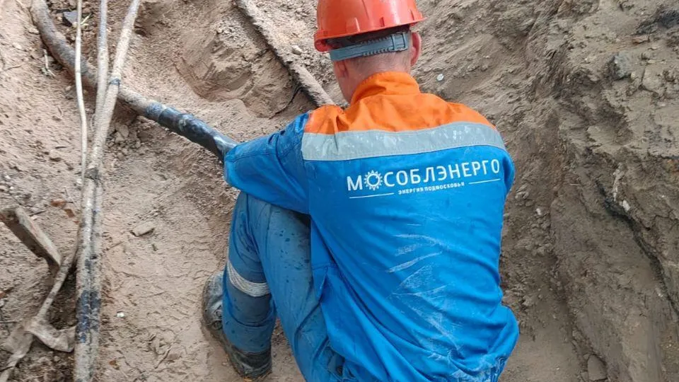 Фото: «Мособлэнерго»