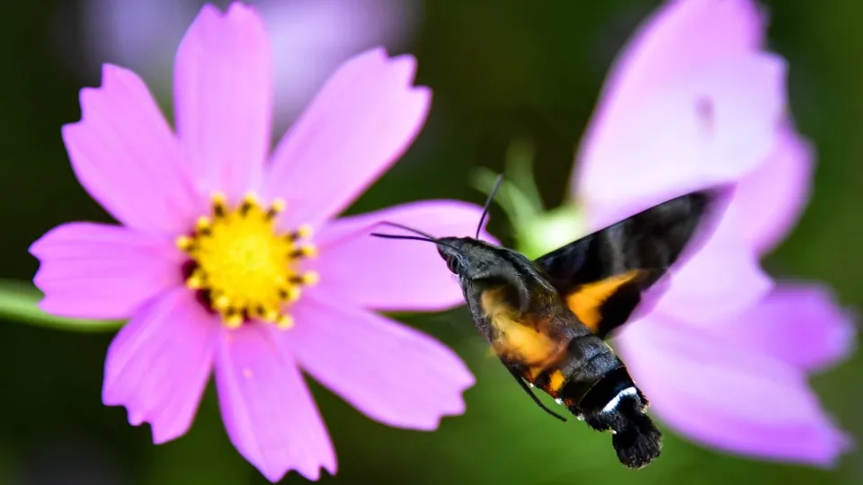Фото: ТАСС/Юрий Смитюк