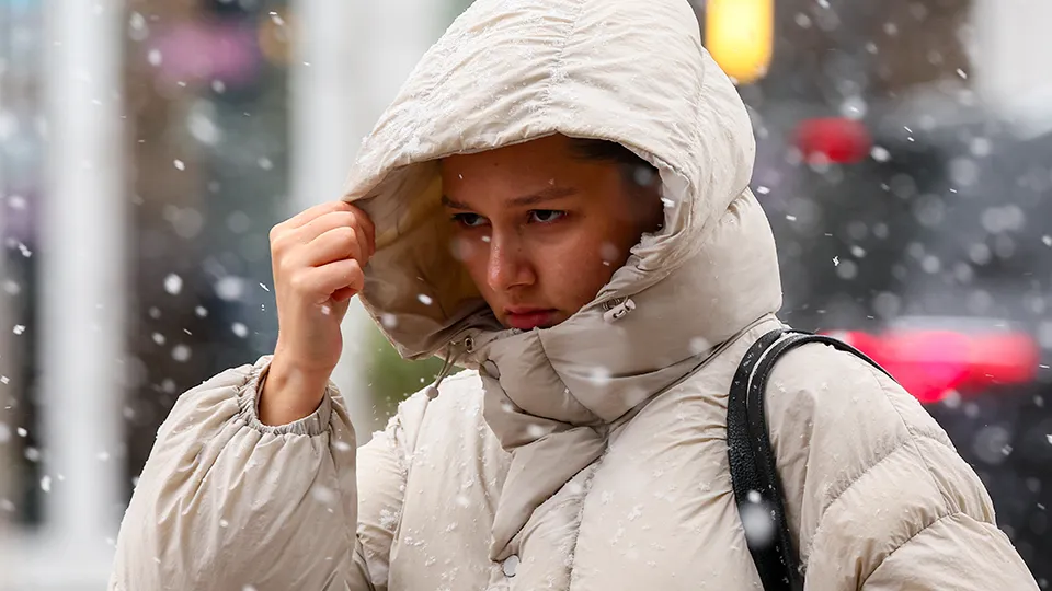 Фото: ТАСС/Сергей Булкин