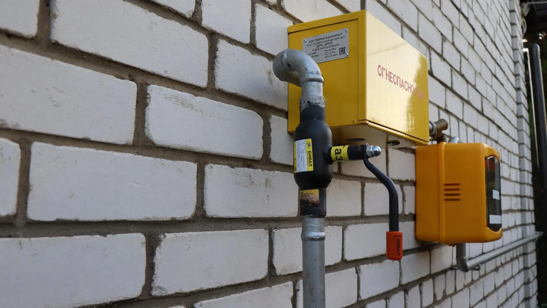 Фото: Василий Тремасов