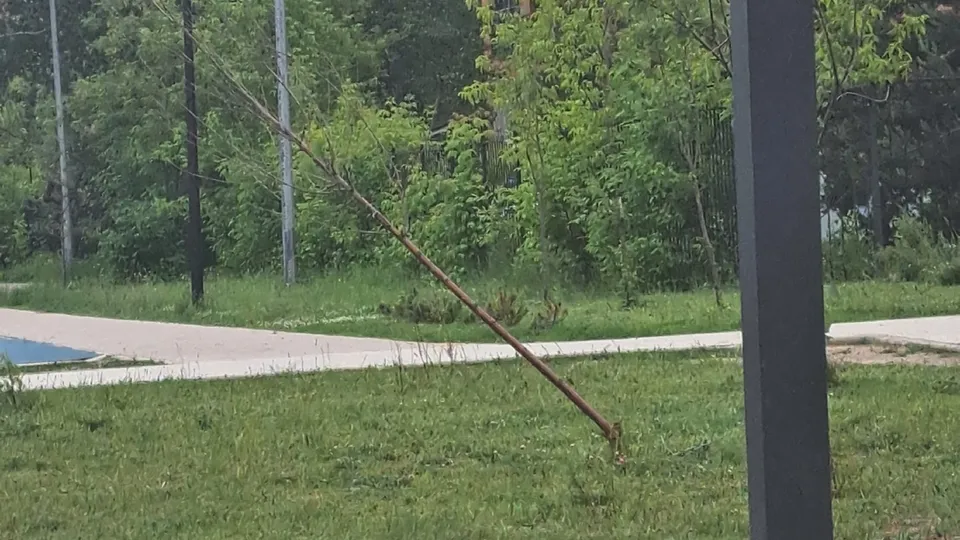 Фото: vk.com/Анна Савельева