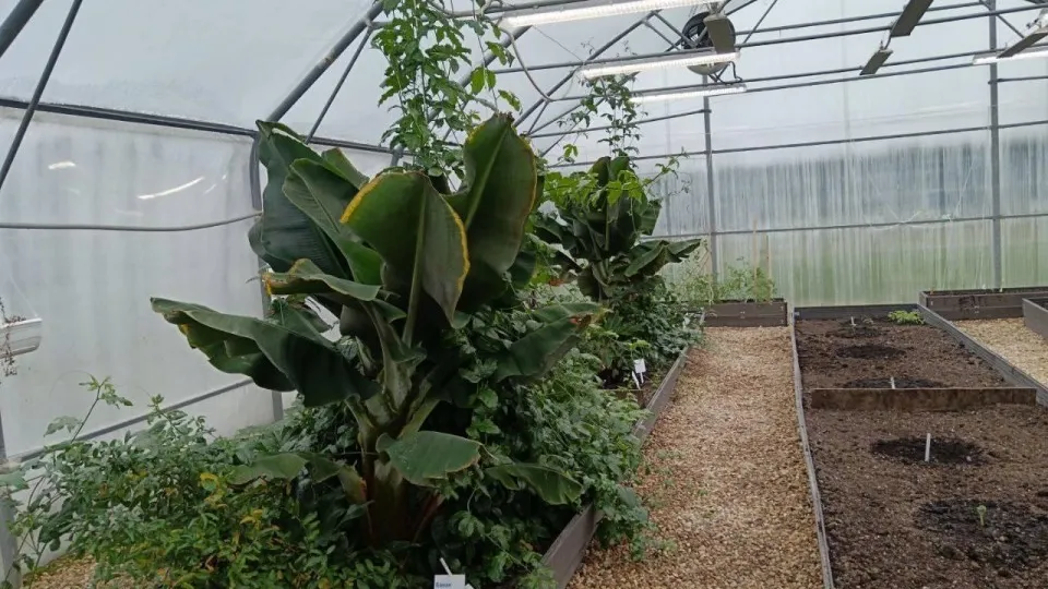 Фото: Министерство по содержанию территорий и государственному жилищному надзору МО