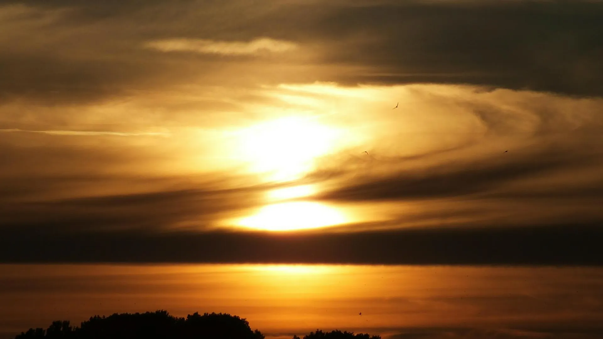 Victor Lisitsyn/Global Look Press