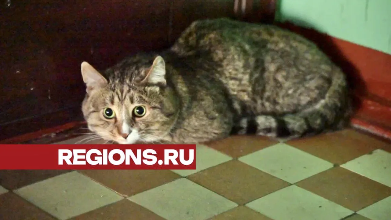 Фото: Максим Зубарев