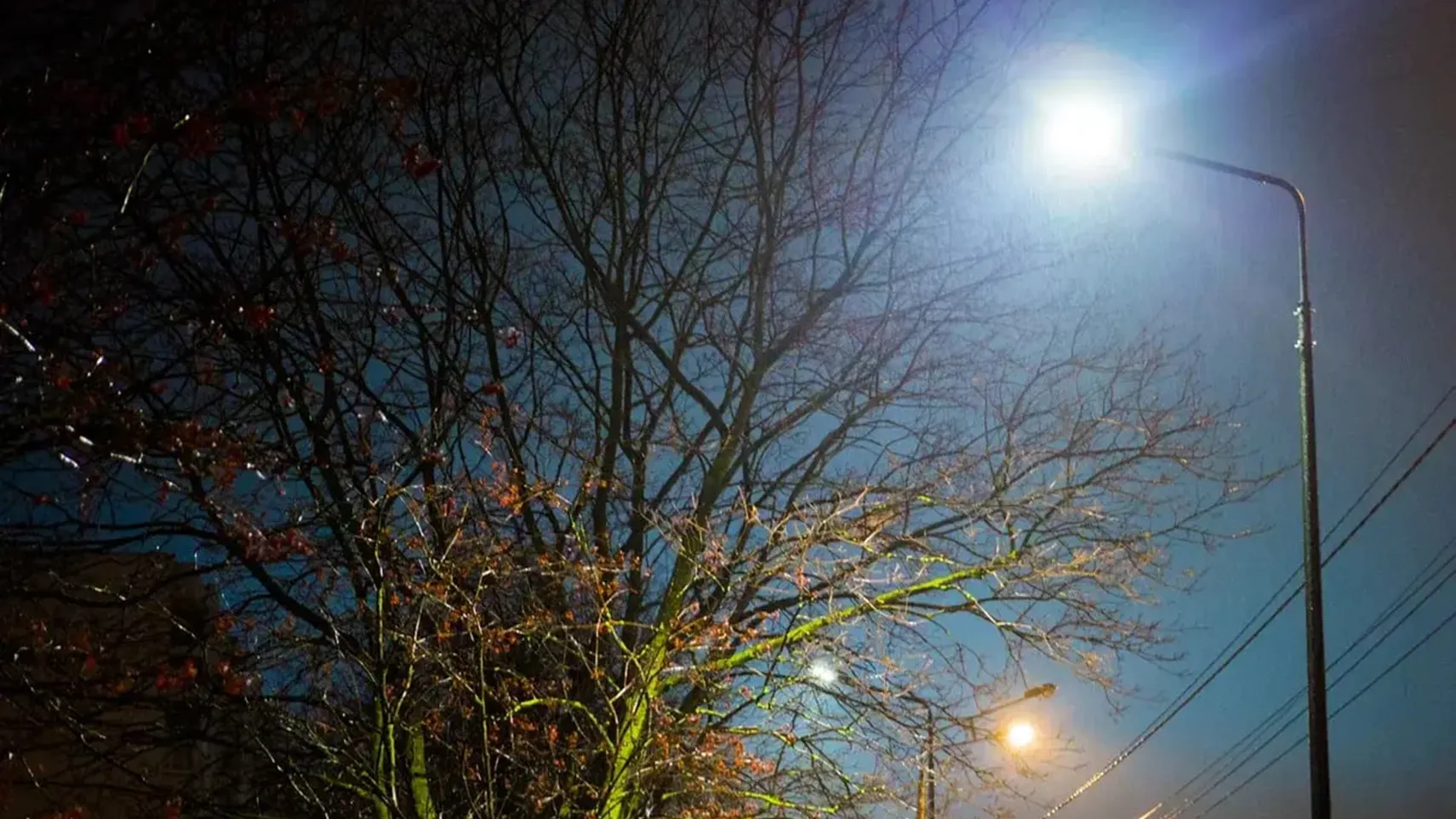 Фото: Министерство благоустройства МО