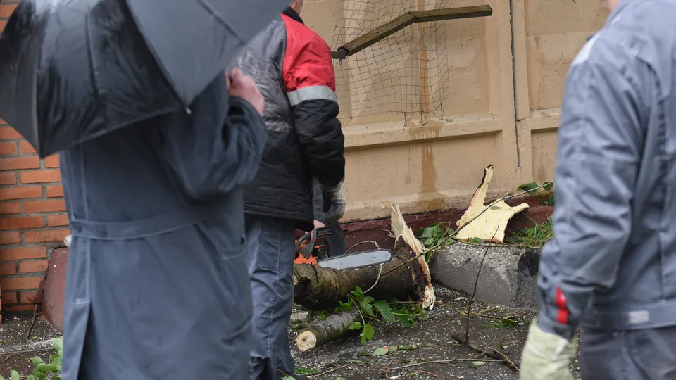 Устраняют последствия ветровала. Фото: медиасток.рф