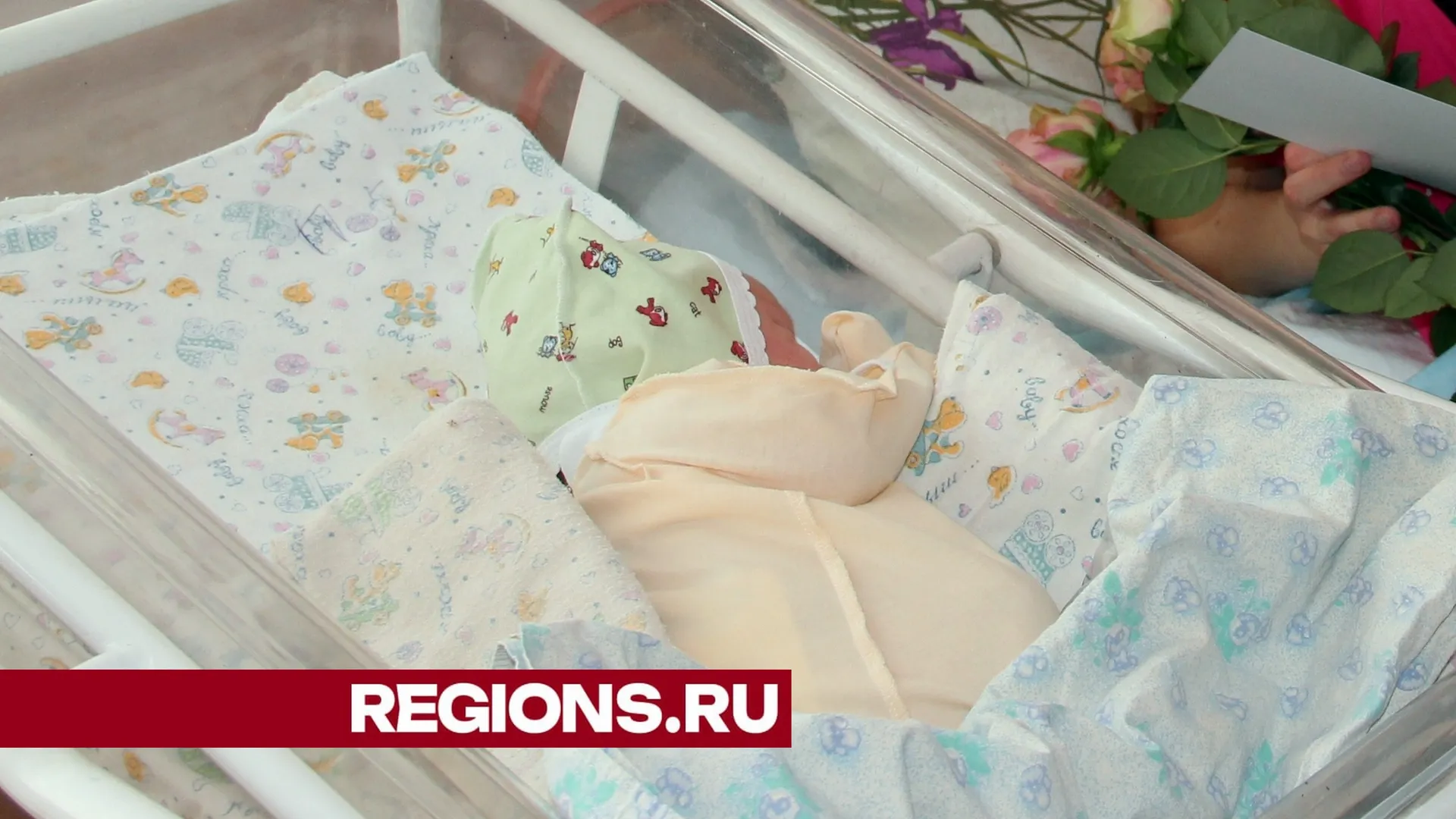 Фото Александра Дрожжина
