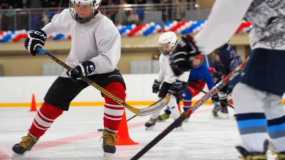 Фото: пресс-служба администрации г.о. Волоколамск
