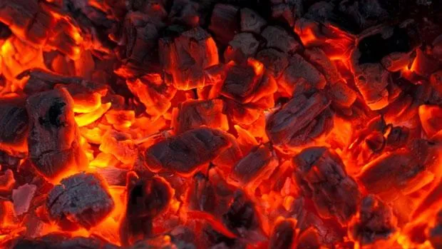 Годовалая девочка упала в горящие угли в Подольске