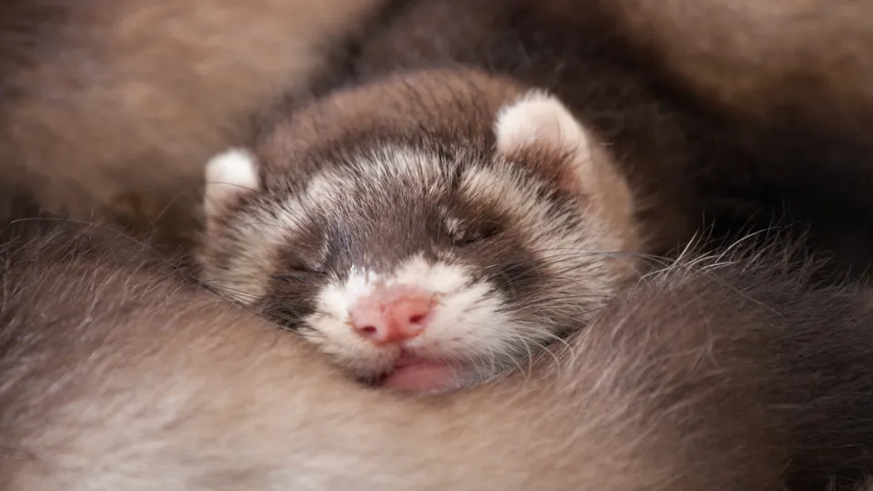 Фото: istockphoto.com