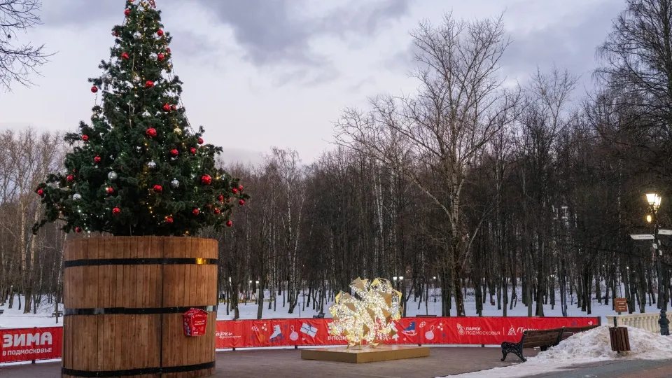 Фото: медиасток.рф