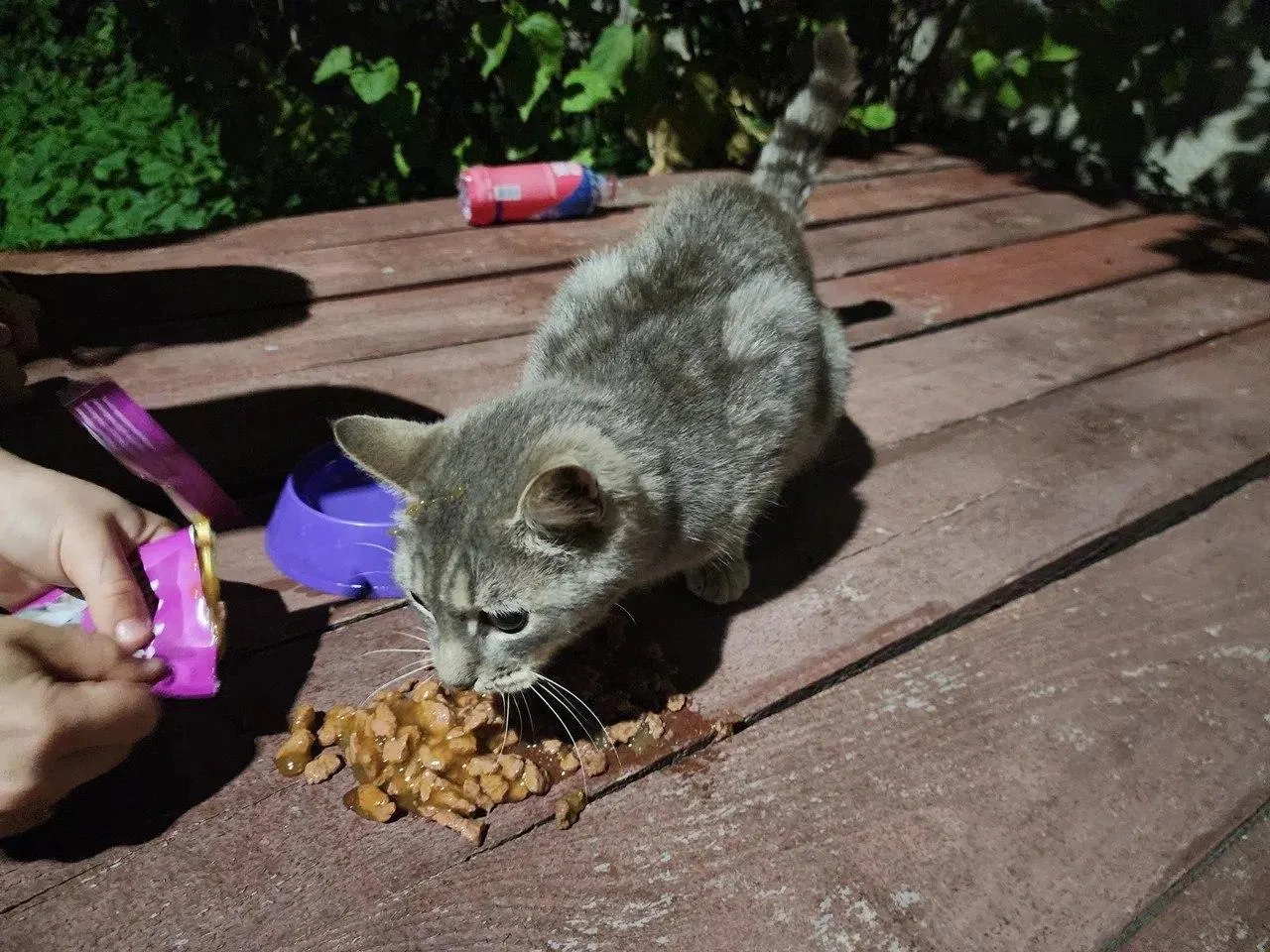 ГКУ МО «Мособлпожспас»