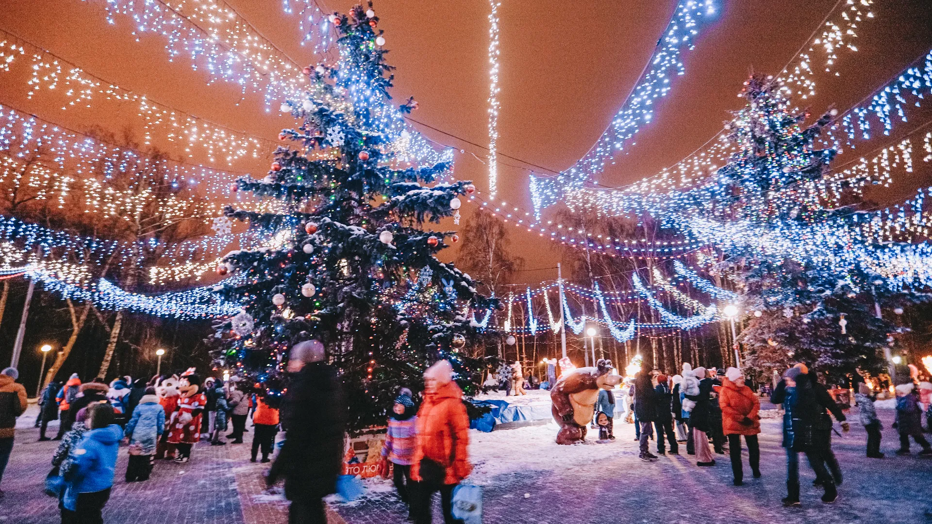 Фото: пресс-служба администрации г. о. Кашира