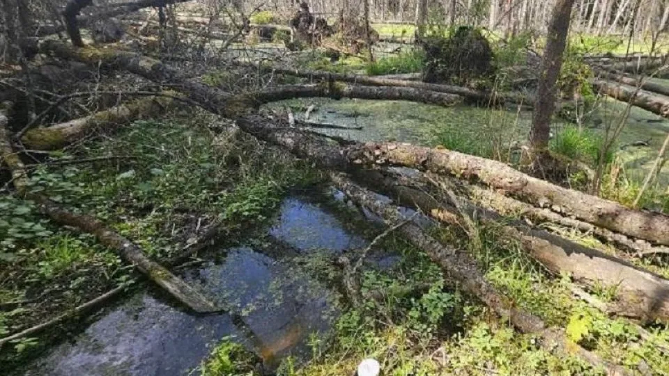 Фото: Министерство экологии и природопользования Московской области