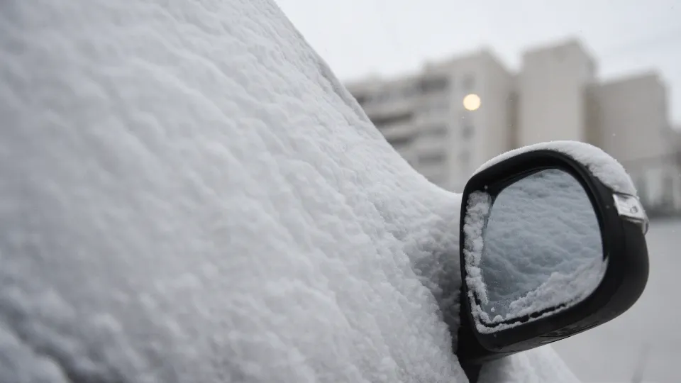 Фото: медиасток.рф