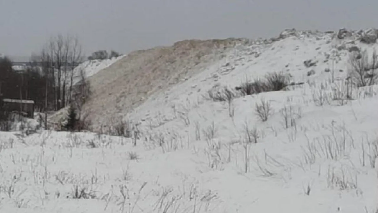 Фото: Минэкологии МО