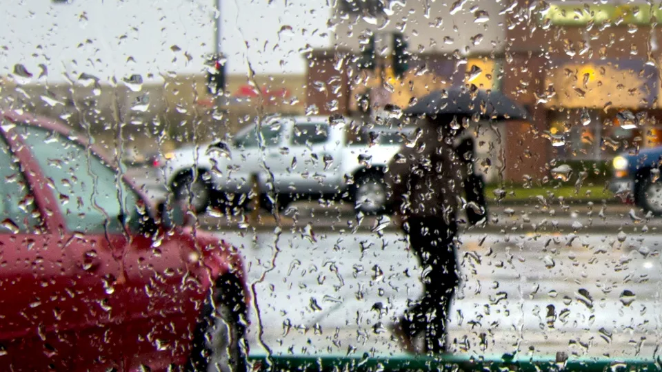 Фото: pxhere.com