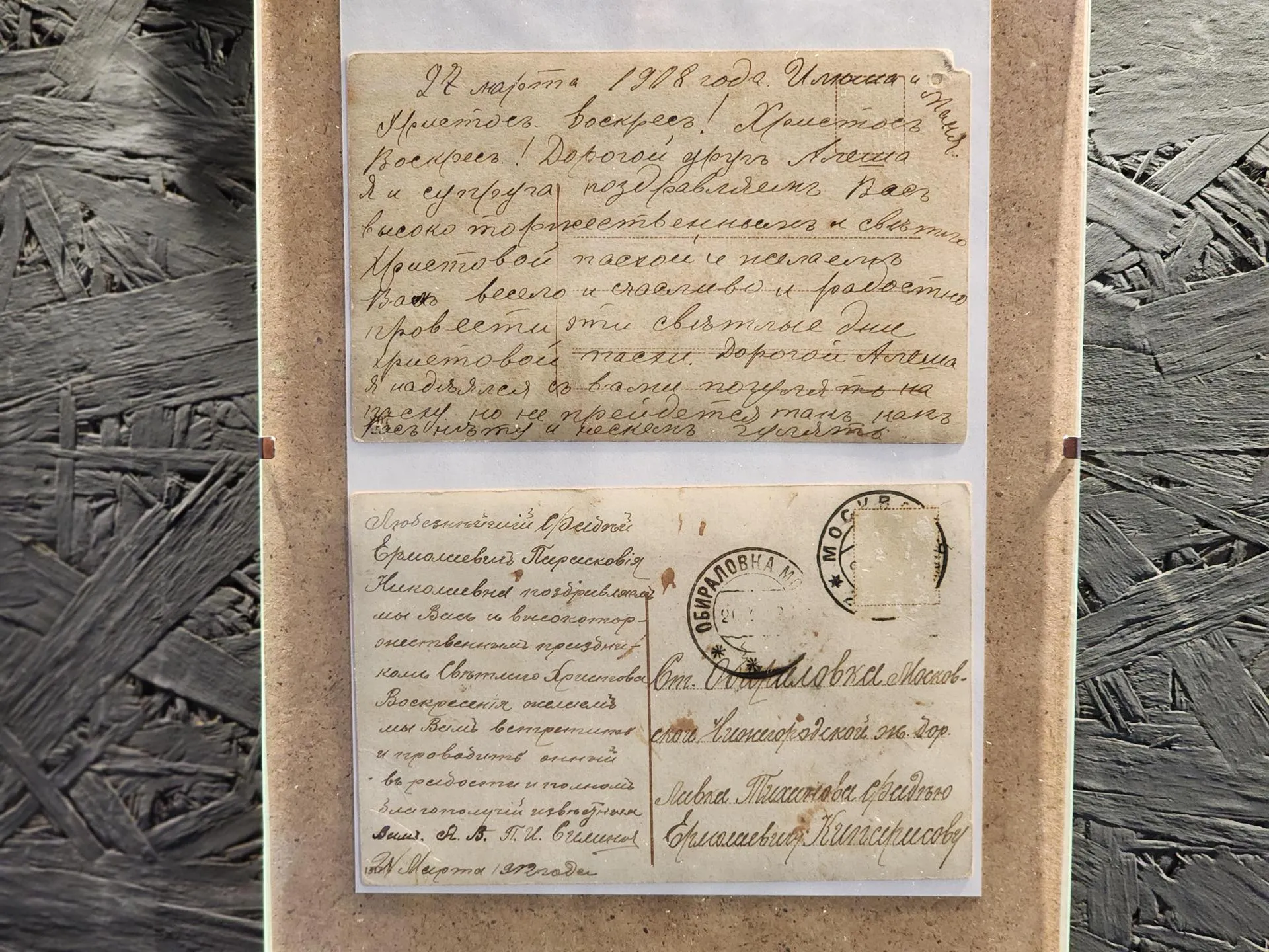 REGIONS/Елена Шумакова