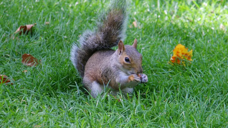 Фото: freepik.com