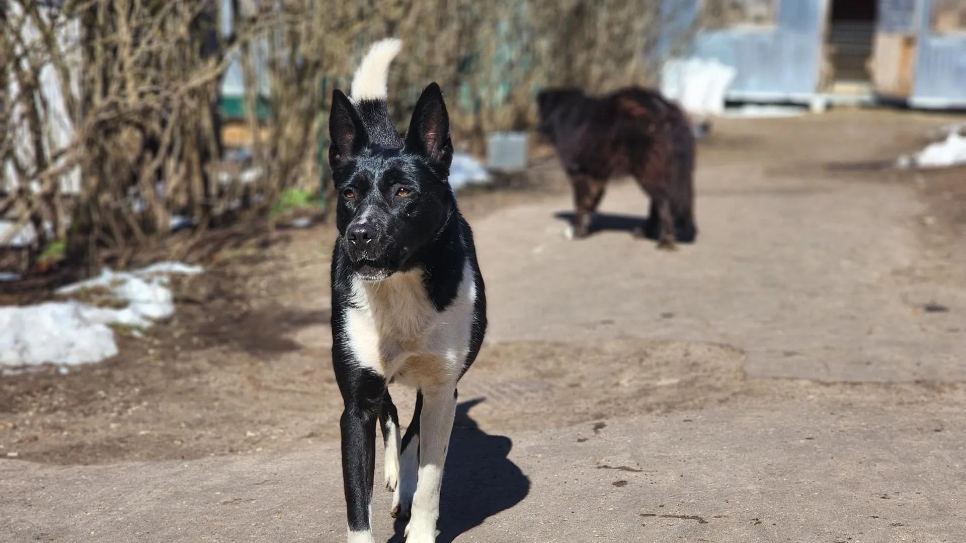 Фото: Полина Пахомова