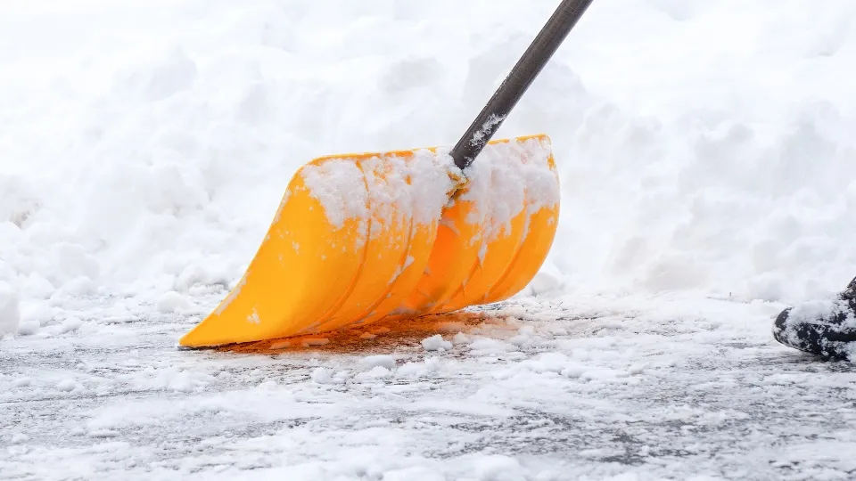 Фото: istockphoto.com/Julia Dorian