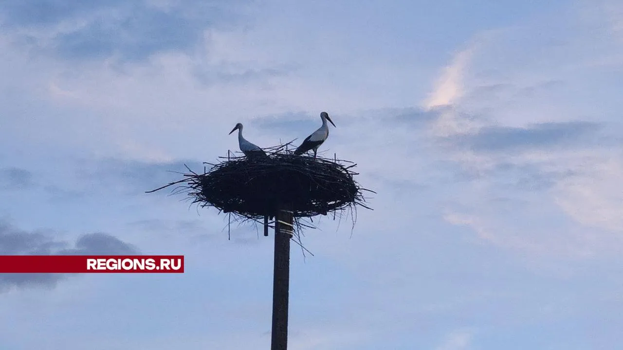 Фото: Владислав Мурашов