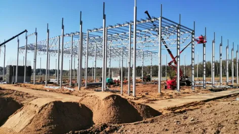 Фото: Министерство сельского хозяйства и продовольствия Московской области