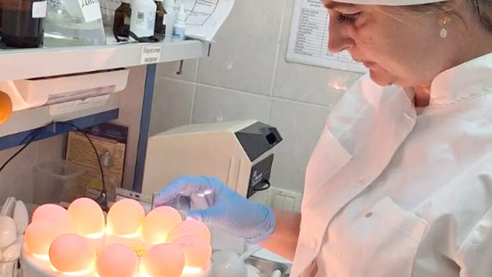 Фото: Минсельхоз Подмосковья