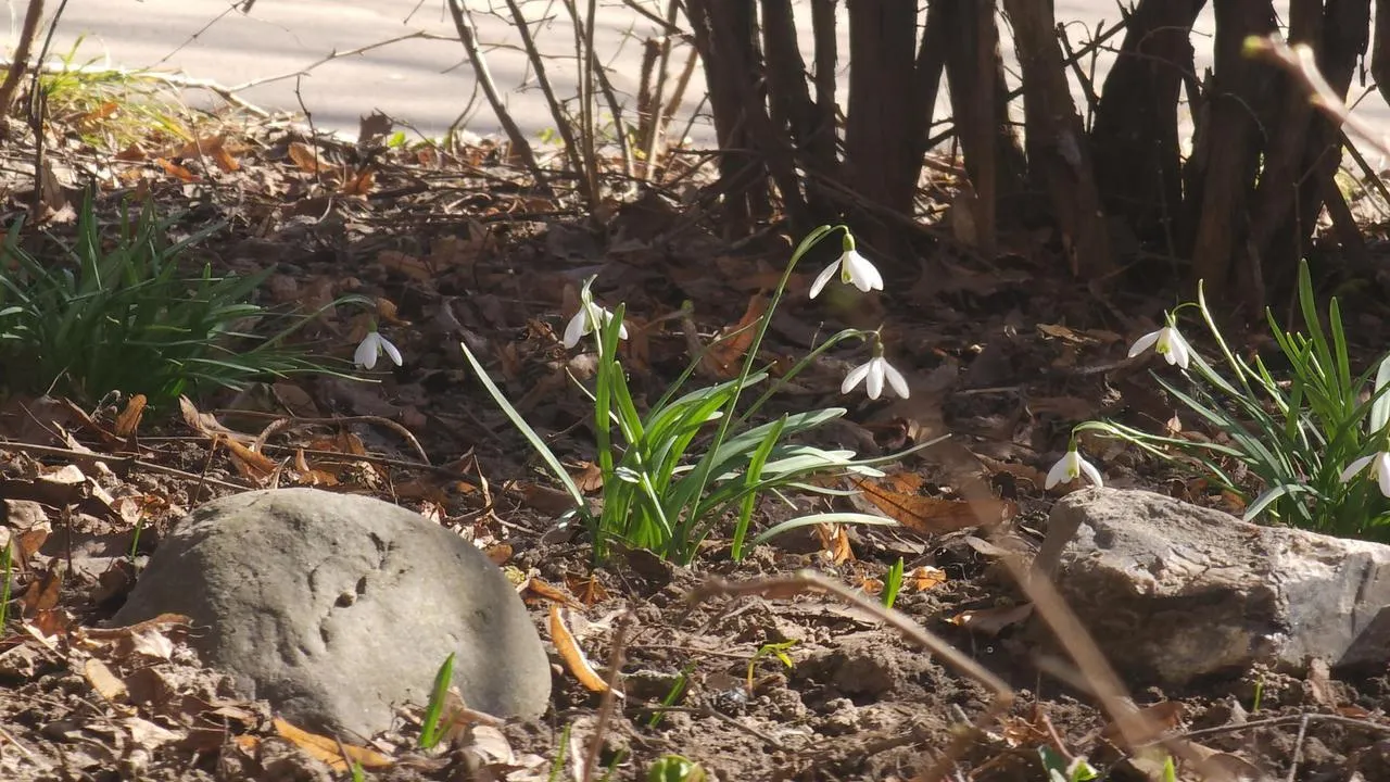 МедиаБанк Подмосковья/Валерия Исаева