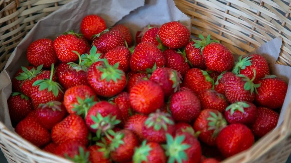 Фото: администрация городского округа Коломна