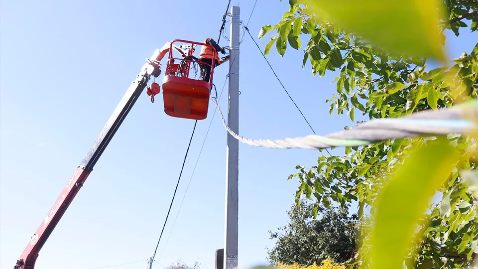 Фото: МедиаБанк Подмосковья/Татьяна Кострикина