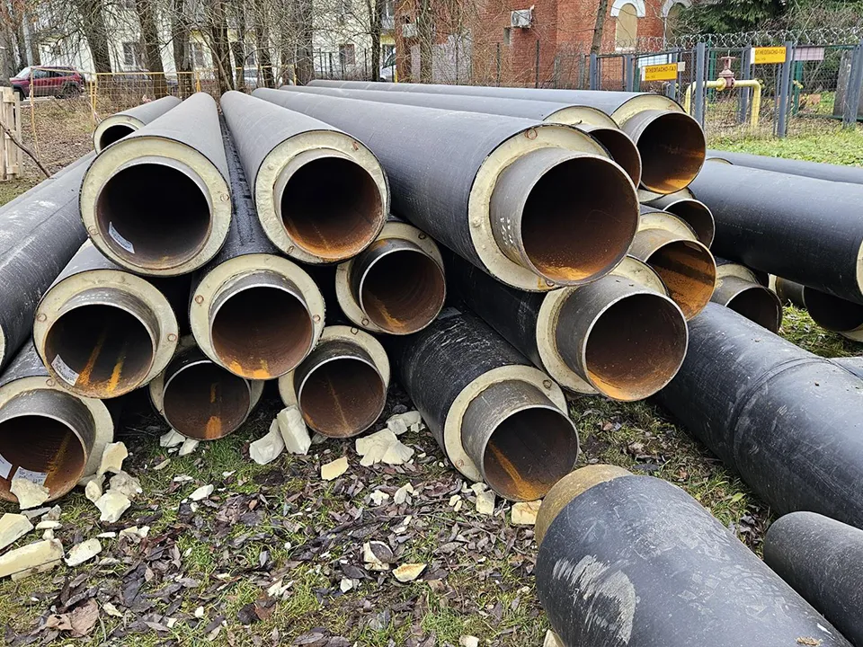 Фото: МедиаБанк Подмосковья/Вероника Горбачева