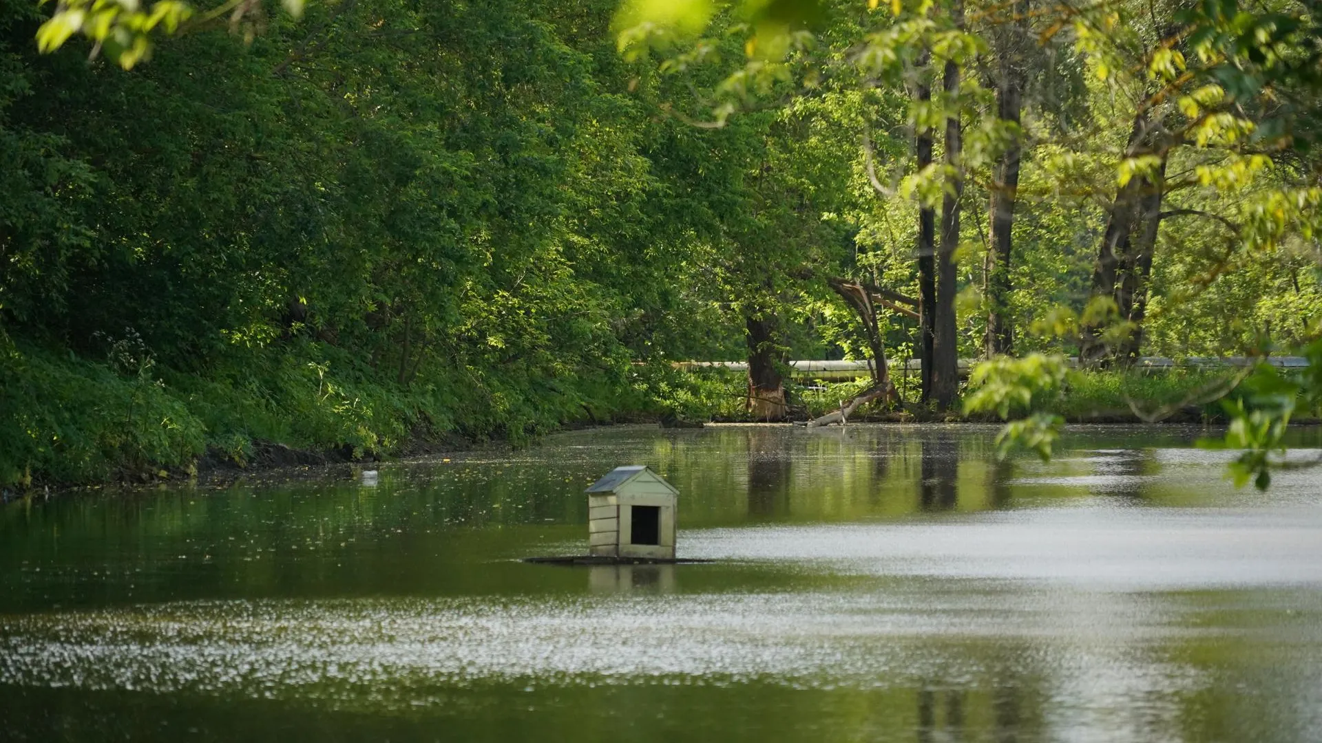 Фото: Виталий Сид