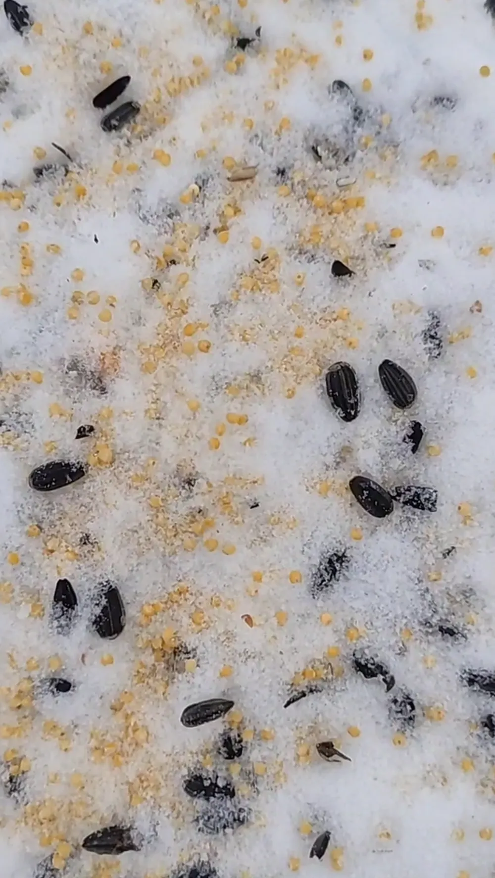 Фото: Микрорайон Малая Истра / Telegram