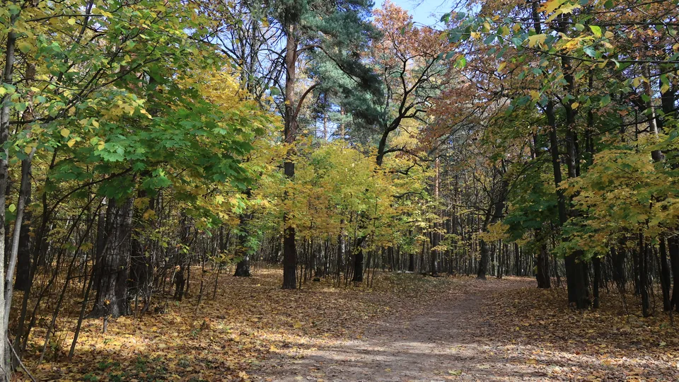 Фото: Алексей Грызлов