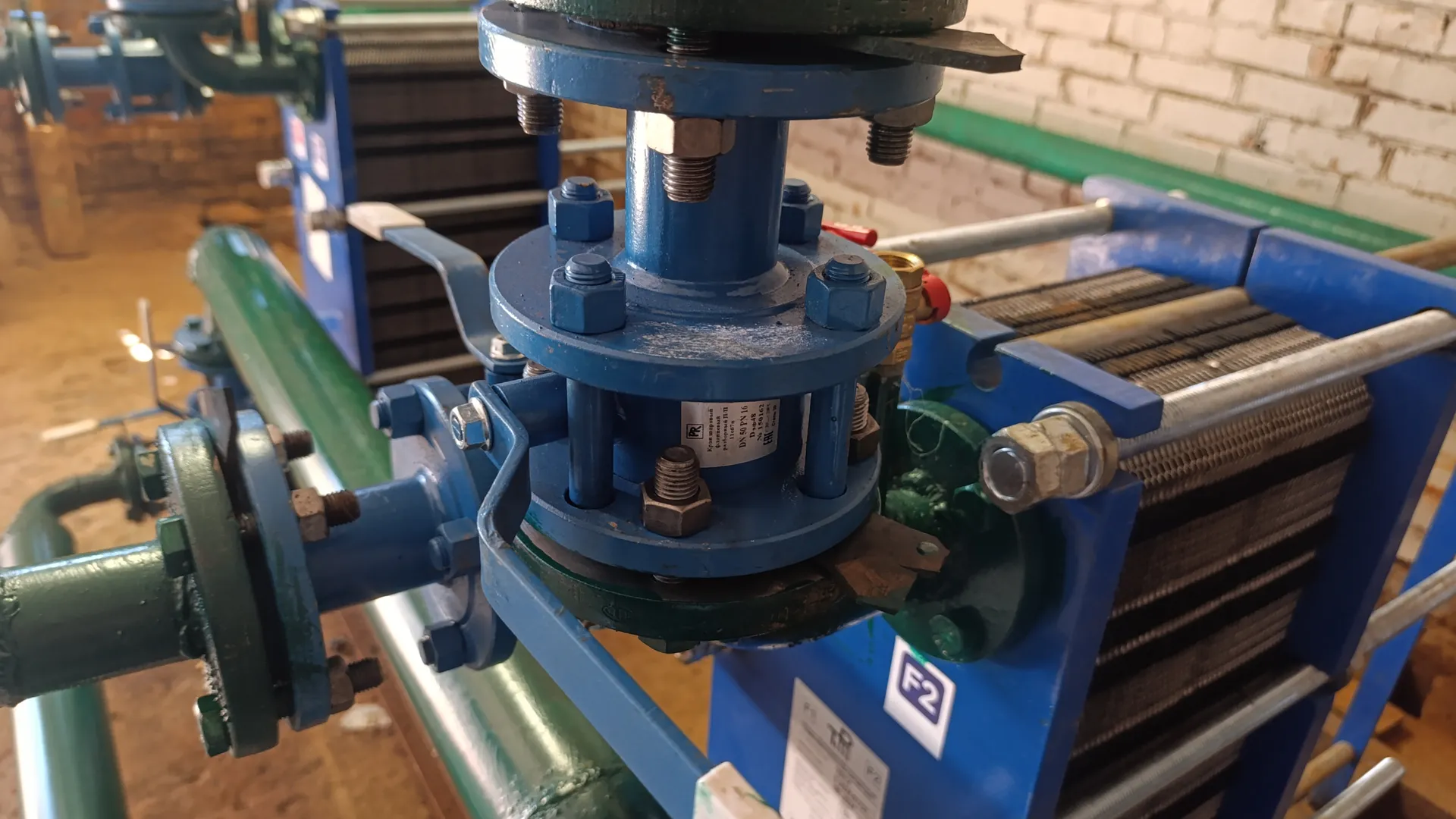 Фото: Ольга Антонова