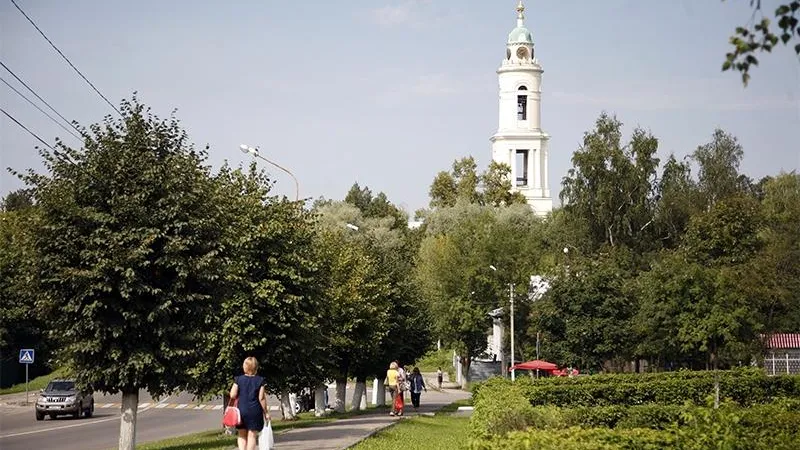 Кирилл Искольдский/Подмосковье Сегодня