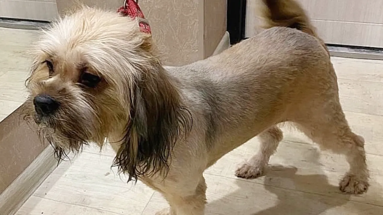 vk.com/Барахолка Электрогорска